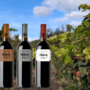 Vinos Rioja Alavesa Bodegas Bauza
